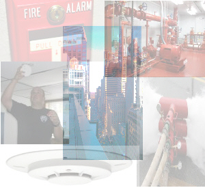 Services Main Collage